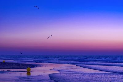 Scenic view of beach against sky during sunset