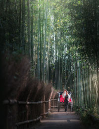 Rear view of people walking in forest