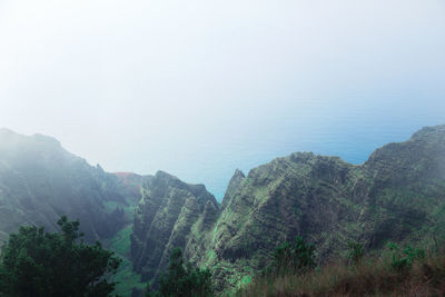 High angle view of trees on landscape against sky