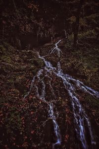 View of waterfall in forest