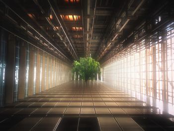 Empty walkway along built structures