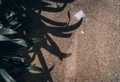 High angle view of shadow on sand