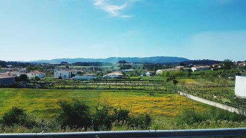 Scenic view of field by buildings against sky