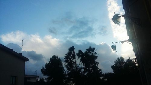 Low angle view of silhouette trees against sky