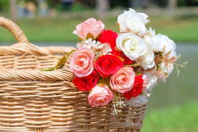 Close-up of roses in wicker basket