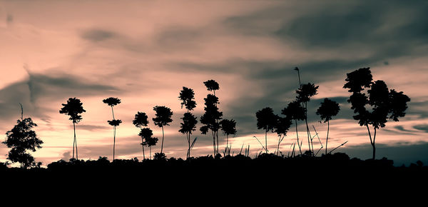 Low angle view of silhouette trees against sky during sunset