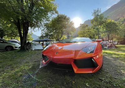 Car on road amidst trees against sky