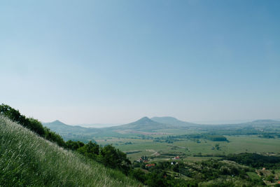 Scenic view of field against clear blue sky