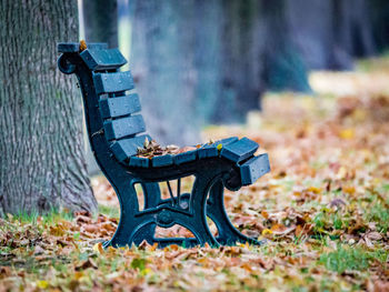 Empty bench amidst fallen dry leaves at park
