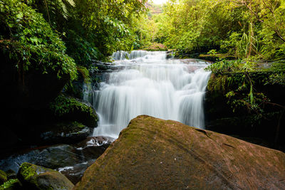 Scenic view of waterfall in forest