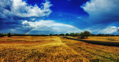 Scenic view of agricultural field against sky