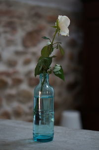Flower vase on table against glass wall