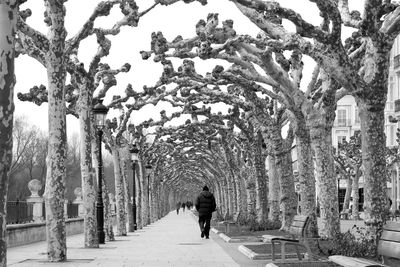 Rear view of man walking on walkway in winter