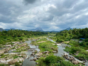 Scenic view of river amidst trees against sky