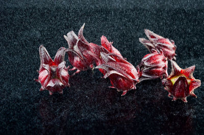 Close-up of fruits against black background