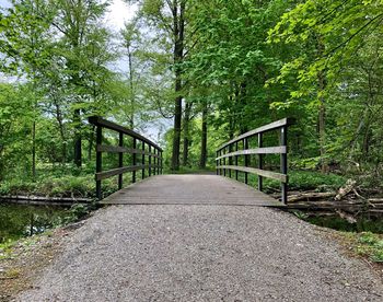 Footbridge amidst trees in forest