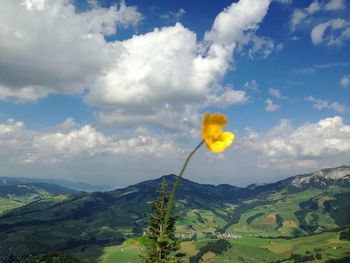 Scenic view of landscape against cloudy sky