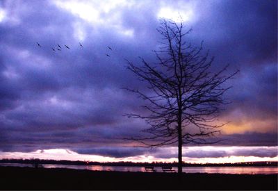 Silhouette of bare tree against cloudy sky