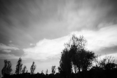 Low angle view of trees against cloudy sky