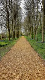 Dirt road amidst trees against sky