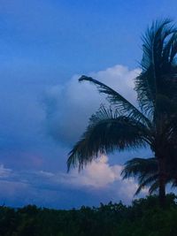 Low angle view of silhouette palm trees against blue sky