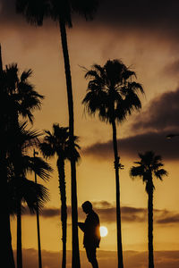 Silhouette man standing against palm trees during sunset