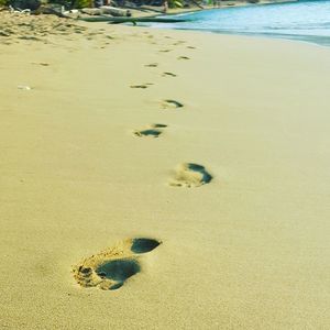 High angle view of footprints on sand at beach