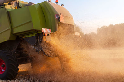 People working on agricultural field