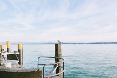 Wooden posts in sea