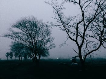 Bare trees on field