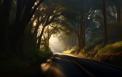 Road amidst trees in forest