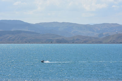 View of sea against mountain range