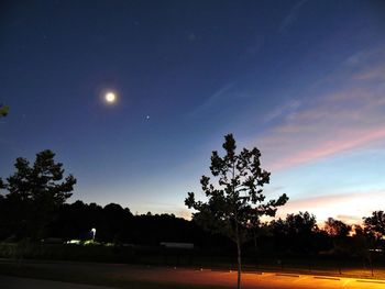 Silhouette trees against sky at night