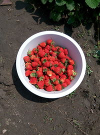 High angle view of fruits in container