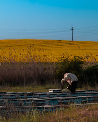 Scenic view of agricultural field