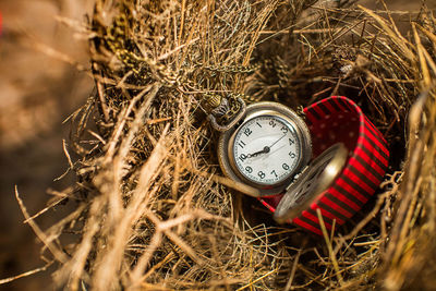 Close-up of pocket watch