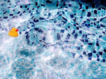 High angle view of swimming pool