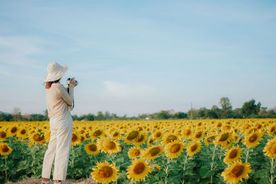 Man standing in sunflower field