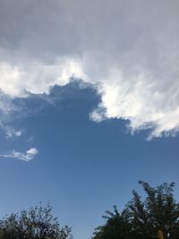 Low angle view of tree against sky