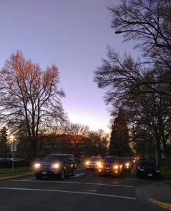 Cars on street in city at sunset