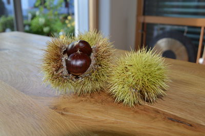 Close-up of strawberry on table at home