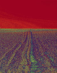 Scenic view of field