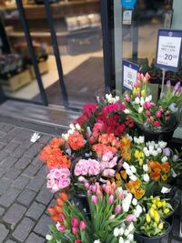 Close-up of multi colored flowers for sale