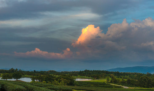 Scenic view of field against sky during sunset