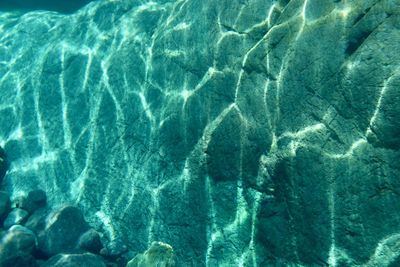 Full frame shot of swimming in sea