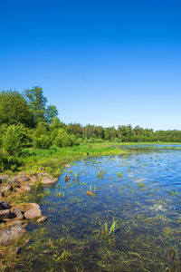 Scenic view of lake against clear blue sky
