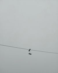 Low angle view of birds perching on cable against sky