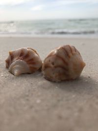Close-up of sand on beach against sky