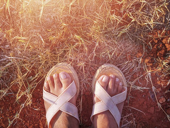 Low section of person standing on field