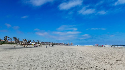 Group of people on beach against blue sky